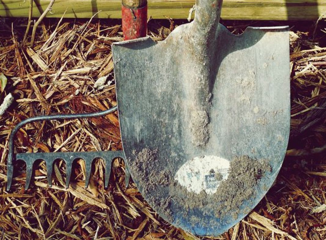 Mallorquin, Mantillos Madrid