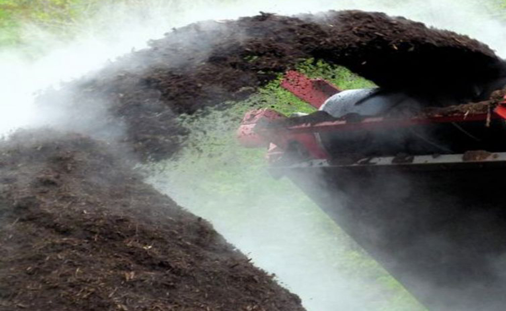 Mantenimiento de jardines, pode de arizónica