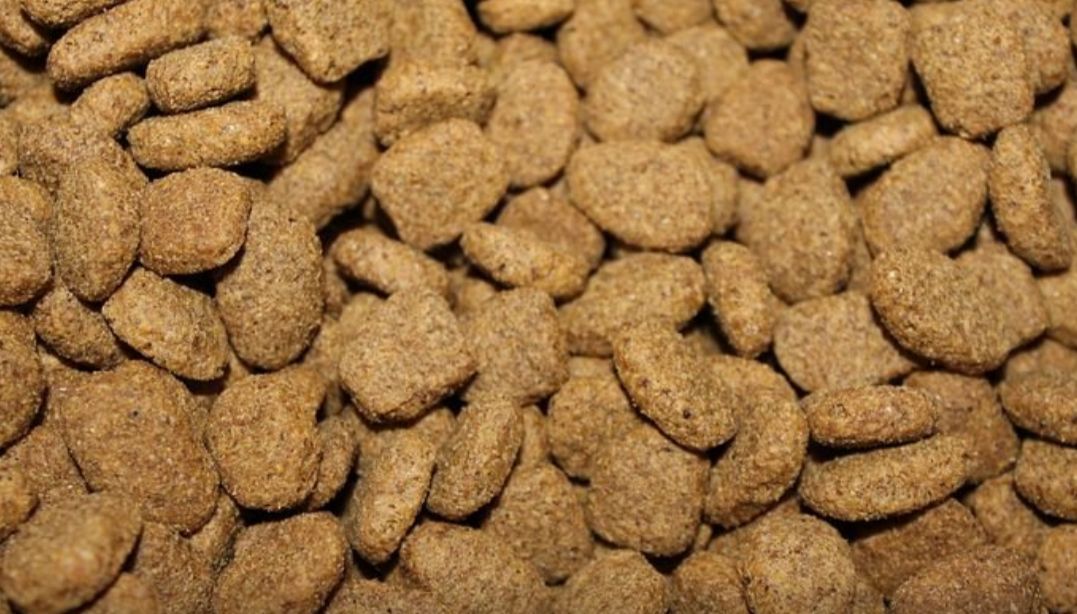 Mallorquin, Venta de pienso para todos los animales