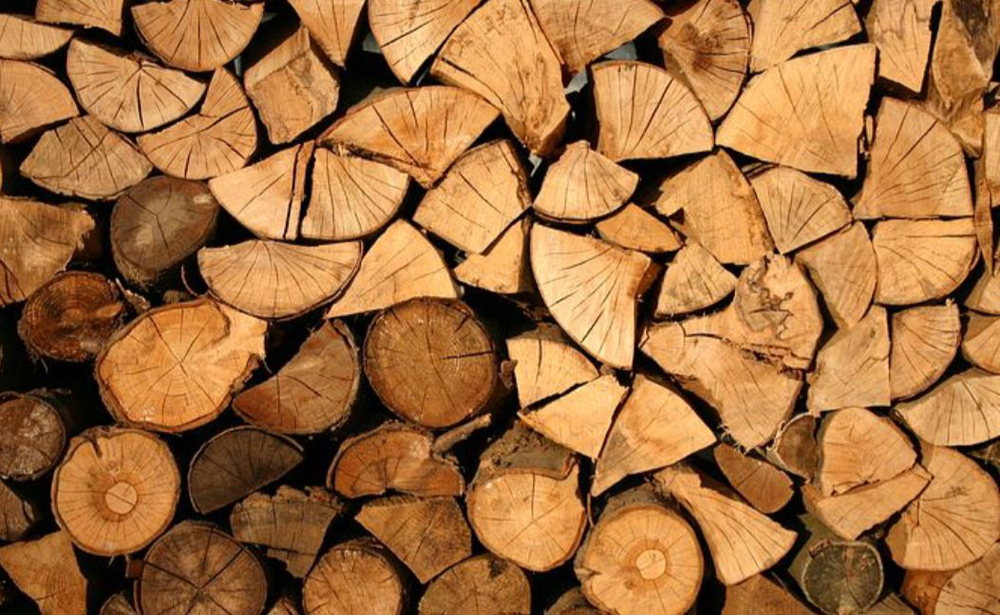 Poda en altura con cabina, tala de árboles